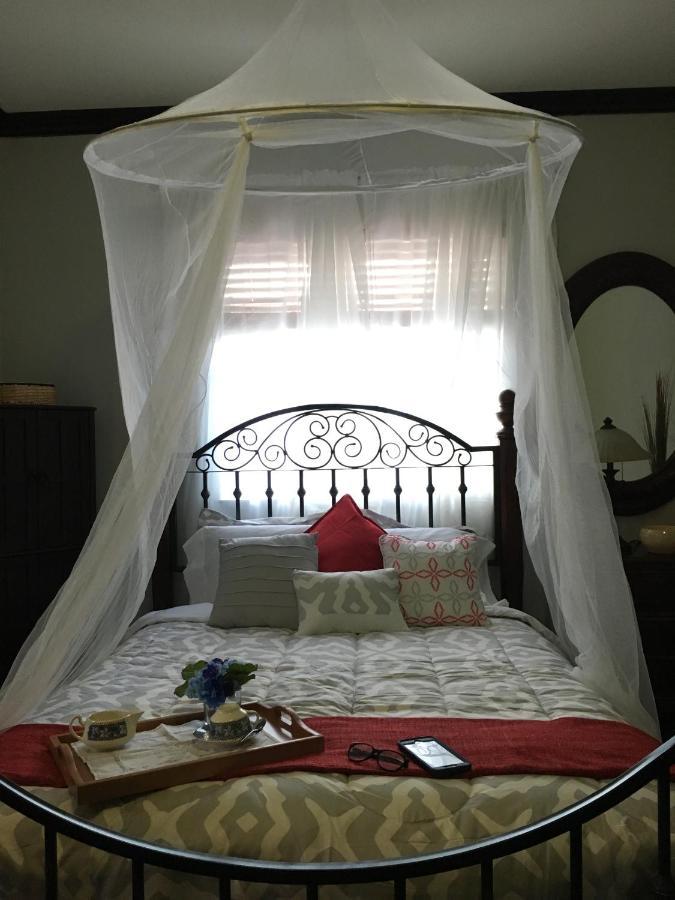 Heavenly Suite In Little Havana Free Parking Miami Luaran gambar