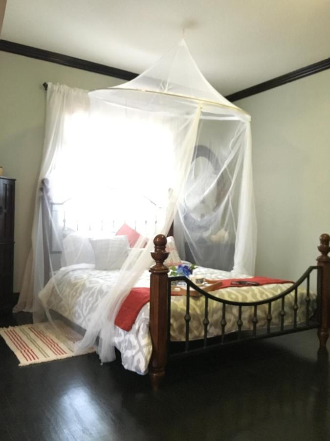 Heavenly Suite In Little Havana Free Parking Miami Luaran gambar