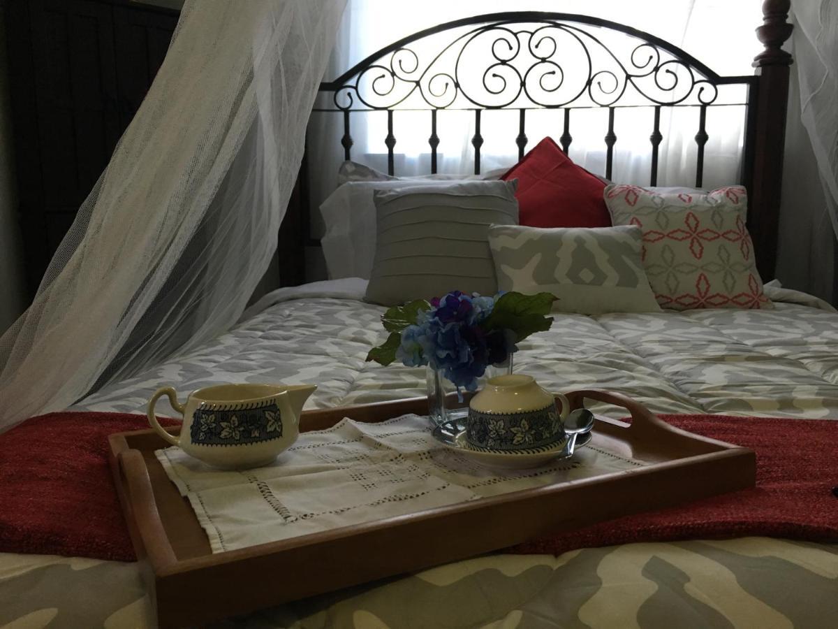Heavenly Suite In Little Havana Free Parking Miami Luaran gambar